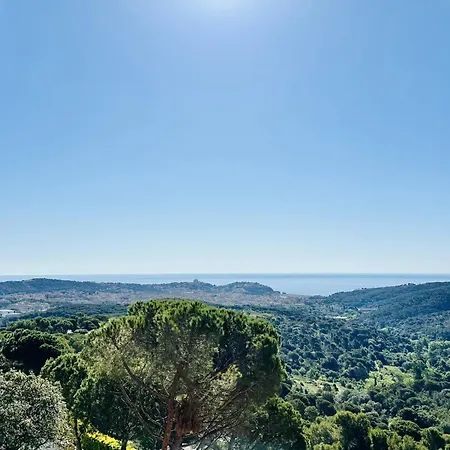 Cardina Costabravasi * Sant Feliu de Guixols